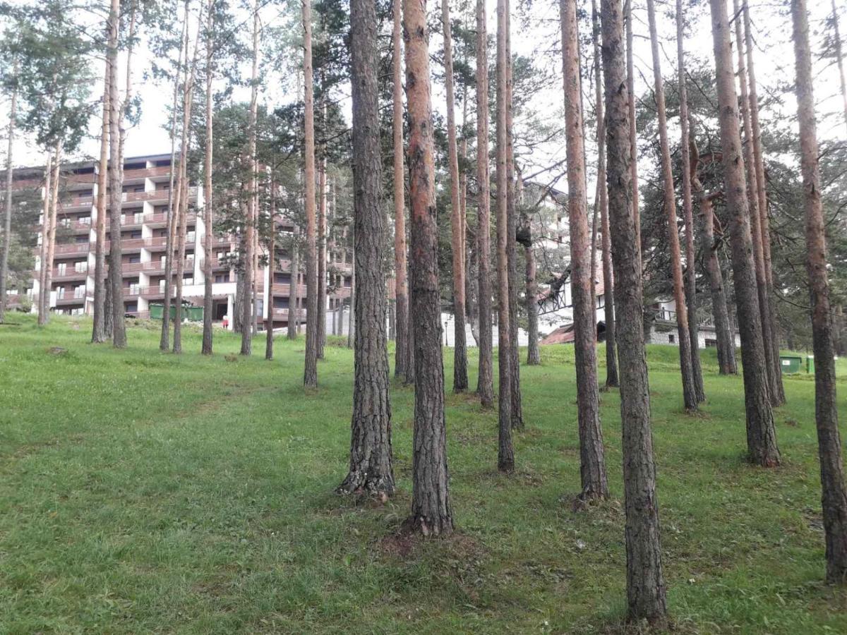 Lux Apartman Ss Zlatibor Vila Pekovic Green Kültér fotó